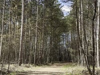 Enjoying Gravel in the Ottawa Greenbelt