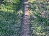Riding on Single Track Trails