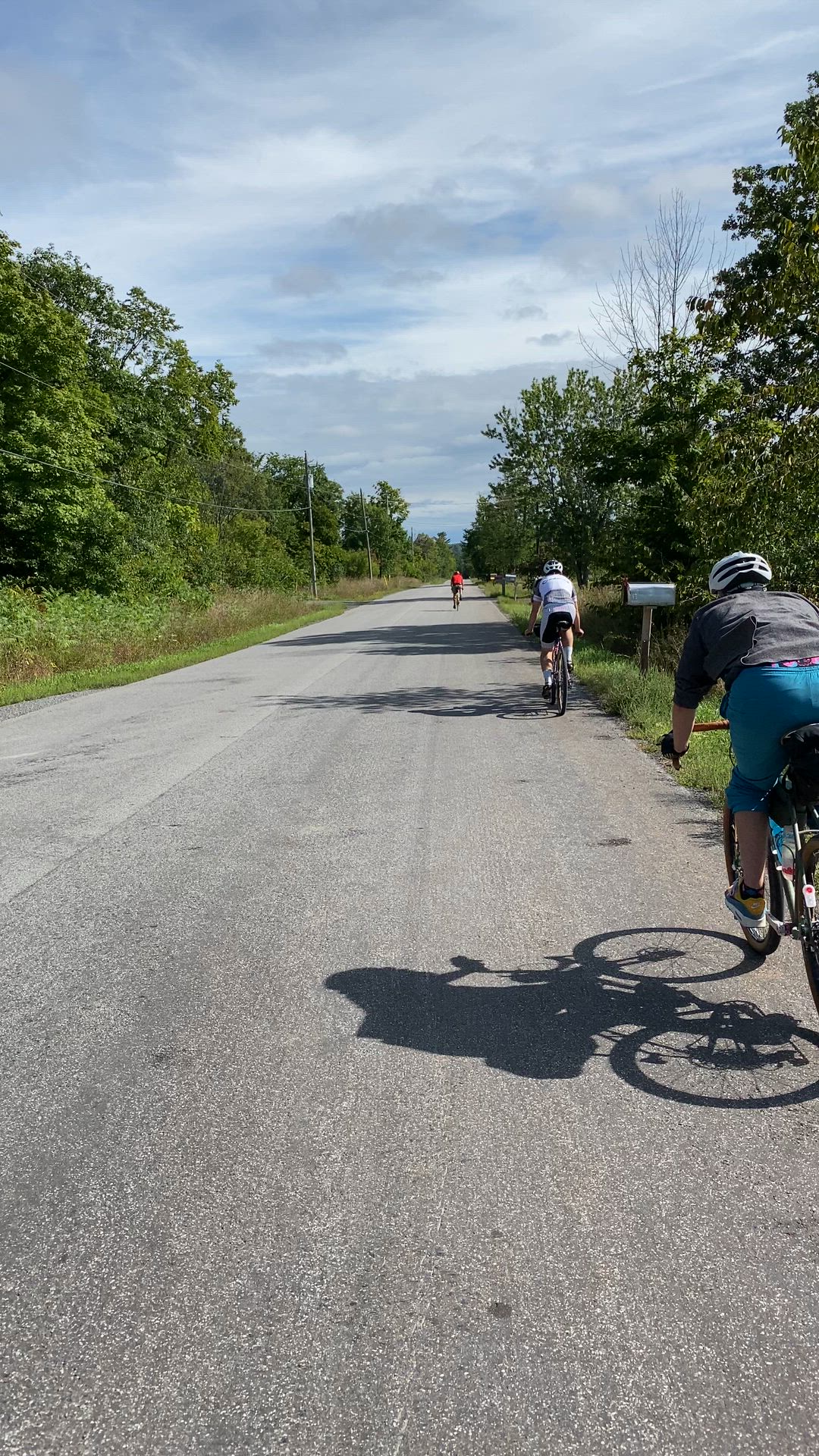 We really like bikes!
