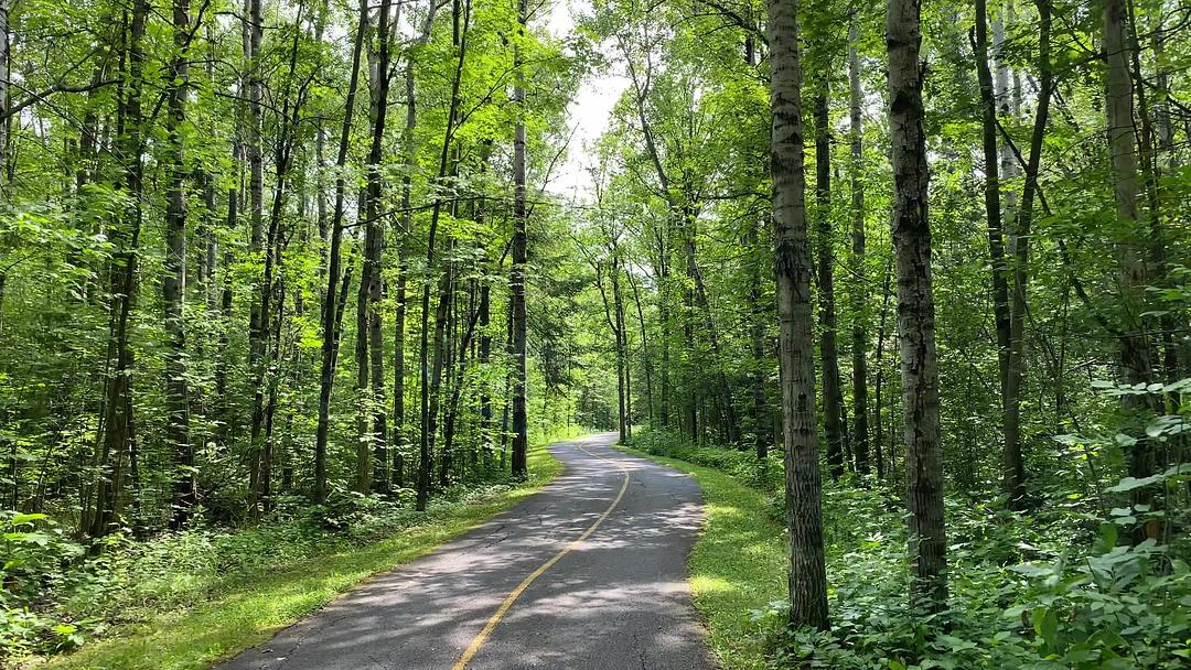 Riding around lush trees on bike path